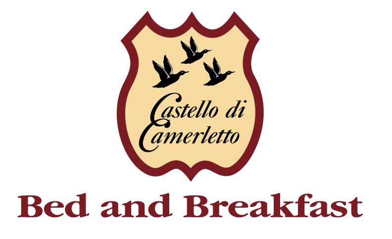 castello-camerletto-logo